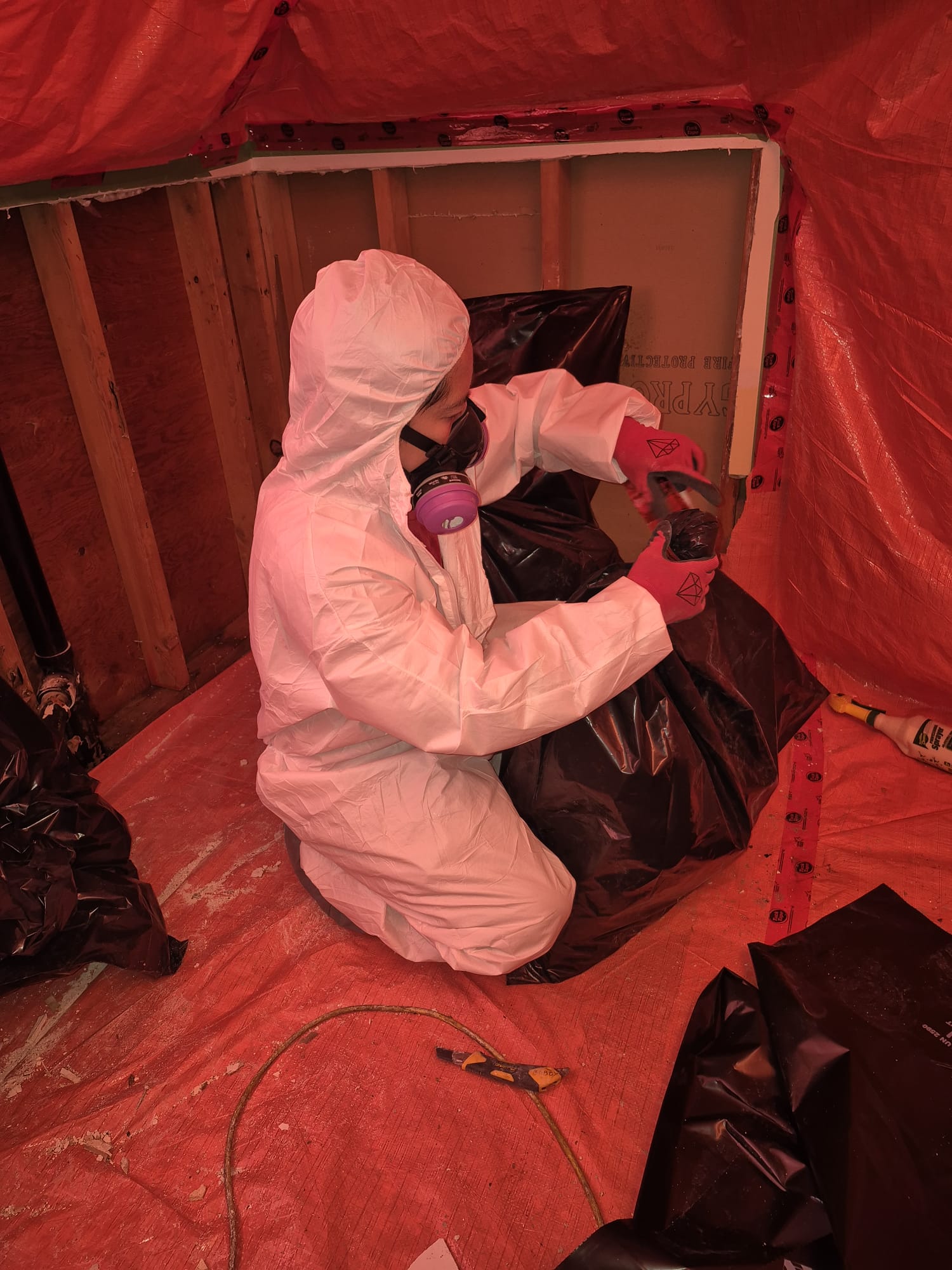 Asbestos Abatement
